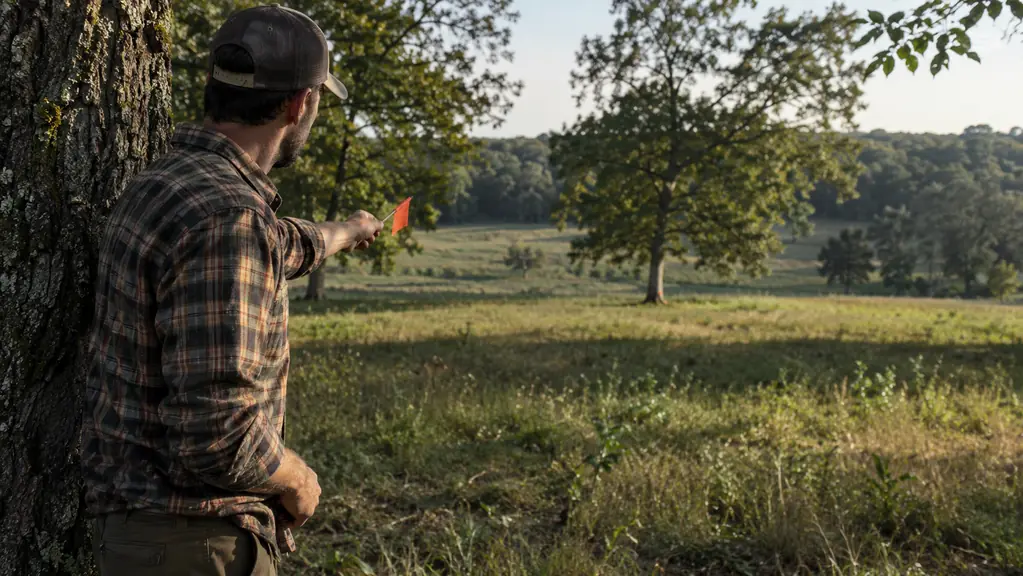 A hunter standing at the base of a tree trunk marking a small flag at the base of a distant tree