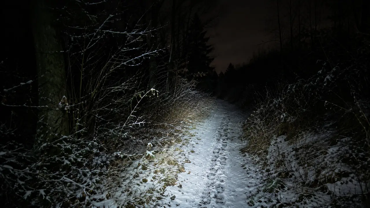 A beam from a headlamp lighting a snow-covered trail at night
